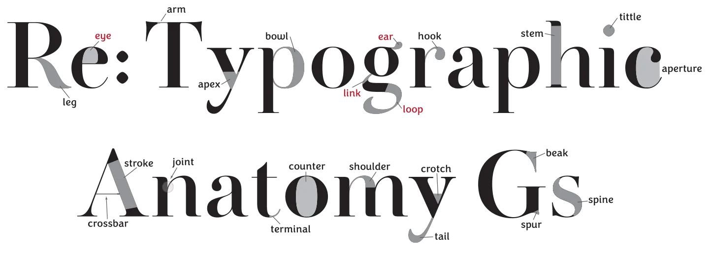 Type Anatomy diagram